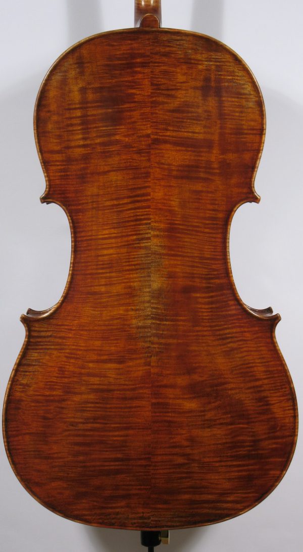 Andrea Rosso Cello Back